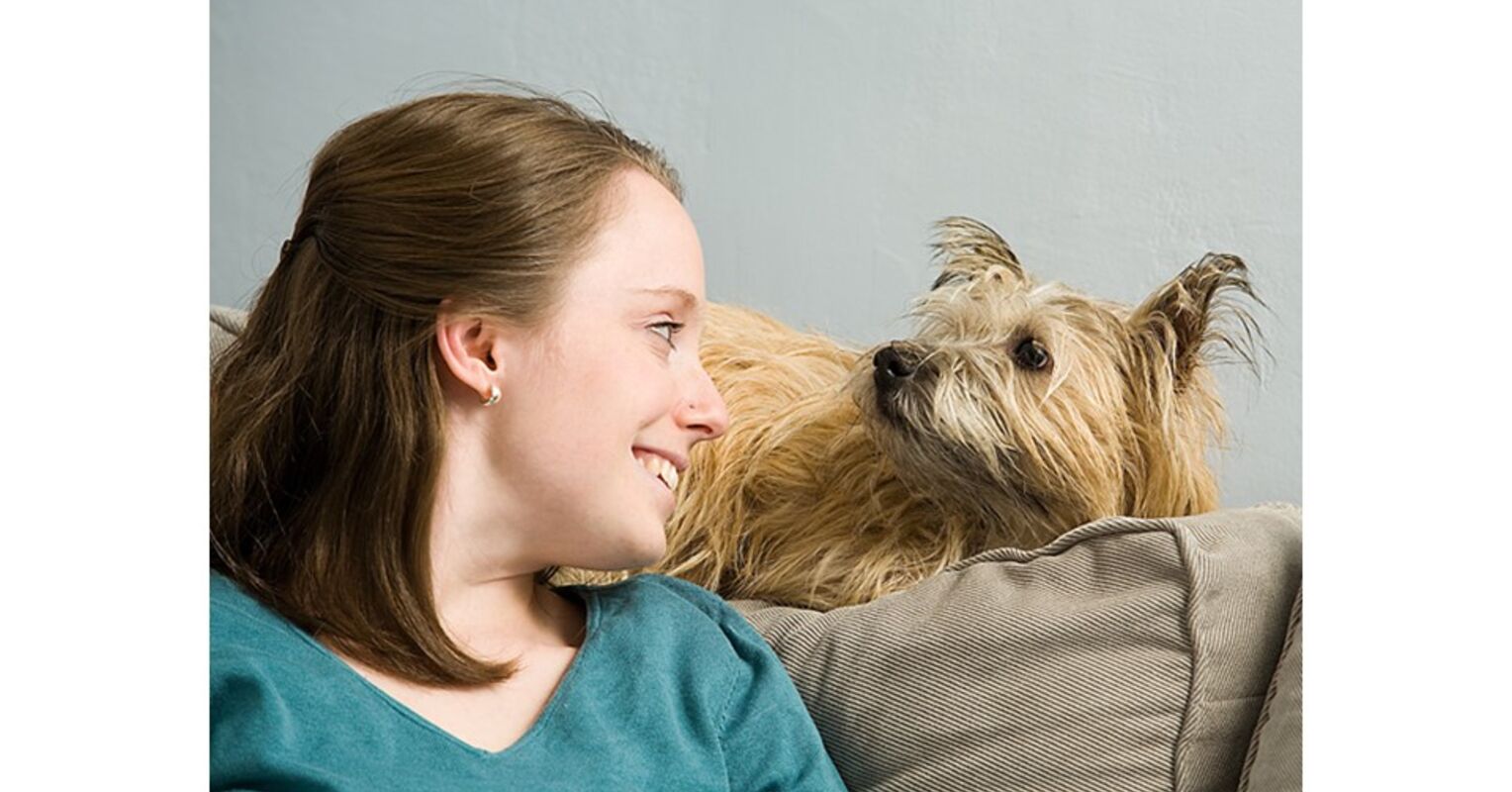 Can Dogs Recognize Emotions Just by Looking at a Human Face